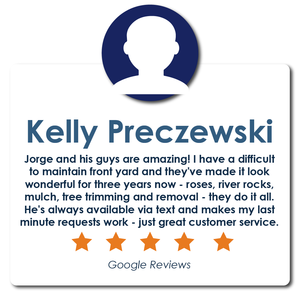 reviews-04